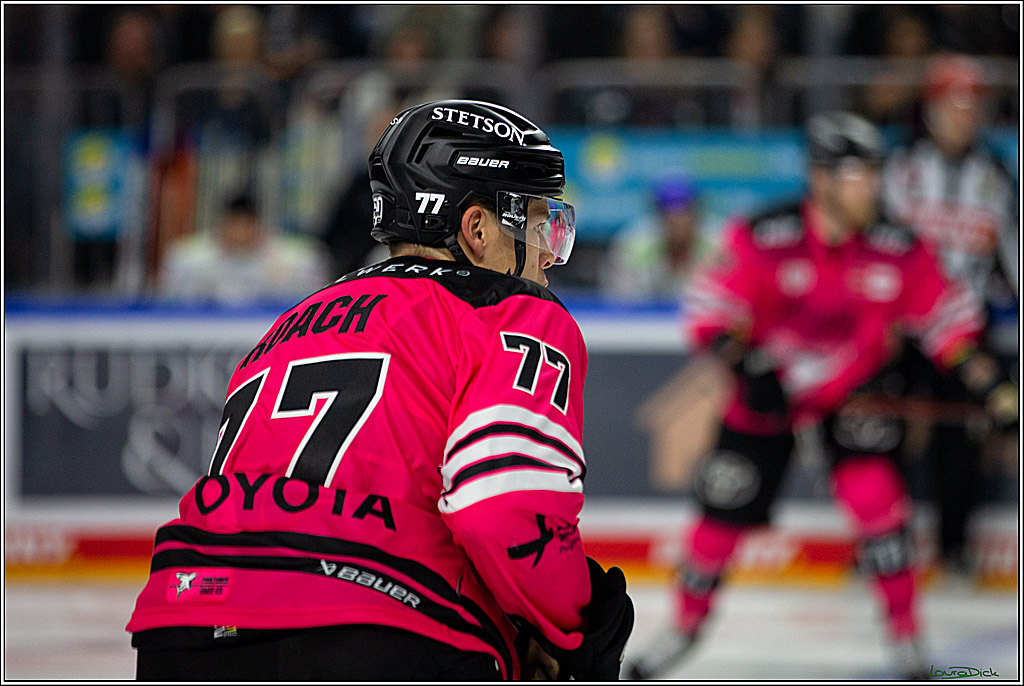 PENNY DEL; Koelner Haie- Eisbaeren Berlin; Koeln, 16.10.2022